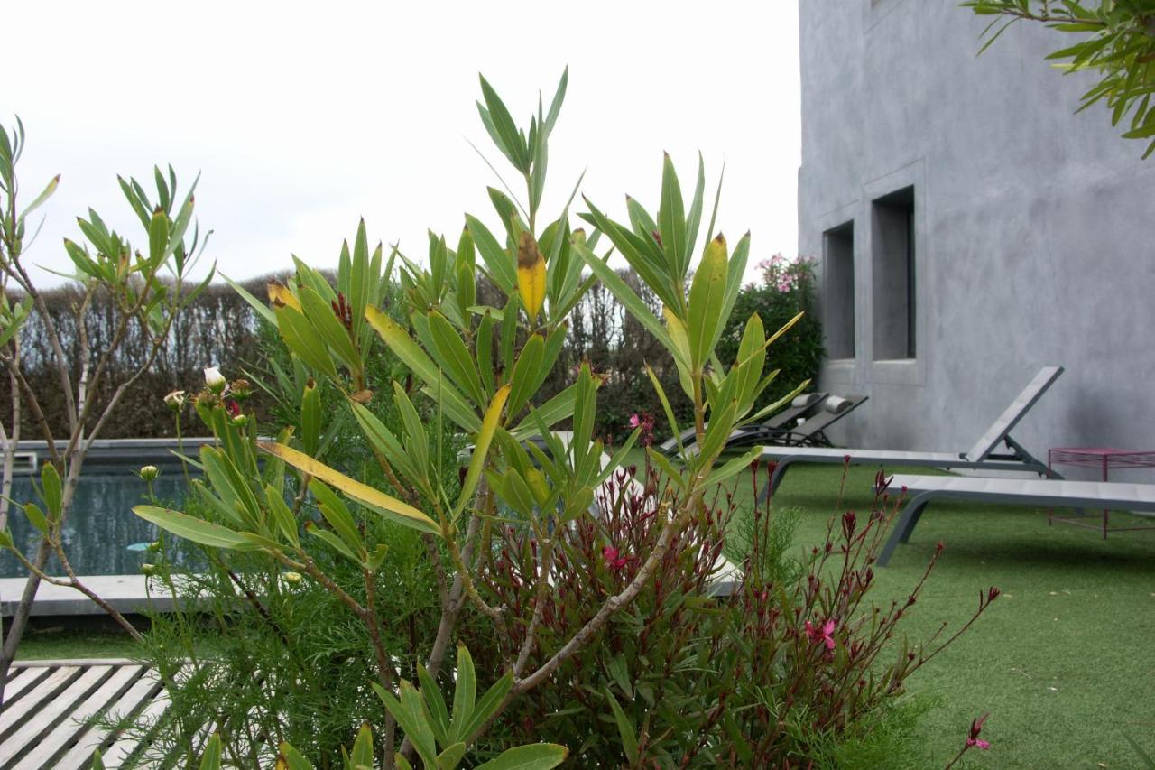 Maison D'Hotes Cote Cour Rasteau Exteriör bild